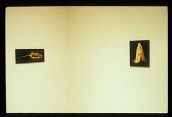Nature Studies I & II